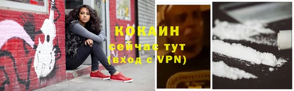 твердый Сафоново