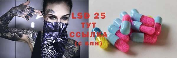 прущие грибы Сатка
