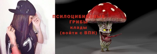 прущие грибы Сатка