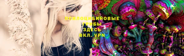 прущие грибы Сатка
