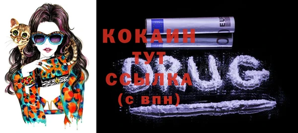 прущие грибы Сатка