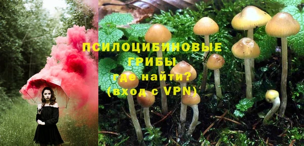 твердый Сафоново