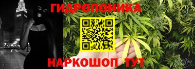 сатива Балахна
