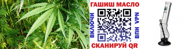 где купить наркотик  Балахна  Дистиллят ТГК гашишное масло 