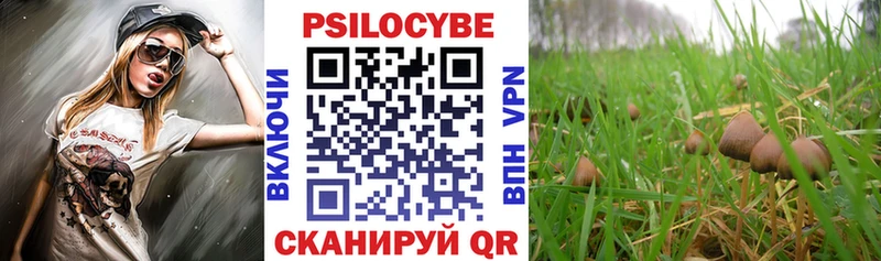 где купить наркоту ОМГ ОМГ ONION Галлюциногенные грибы MAGIC MUSHROOMS Балахна