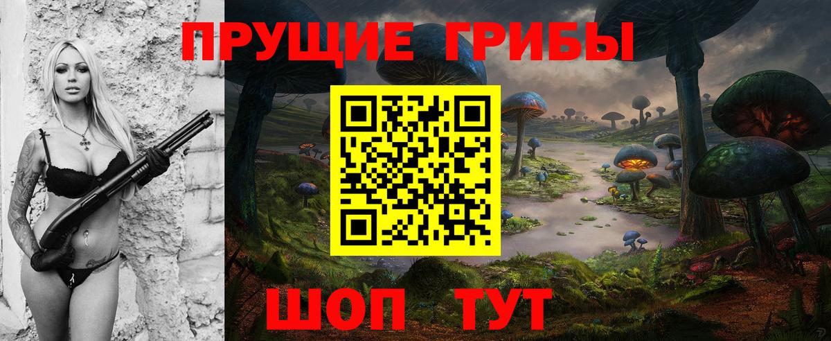 Псилоцибиновые грибы прущие грибы Балахна