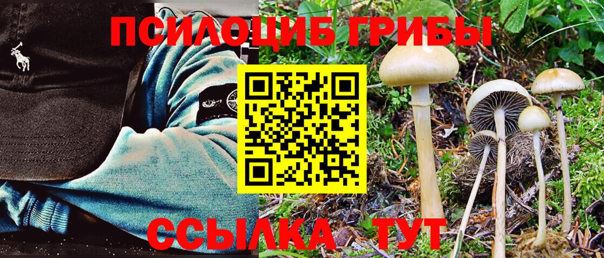 Галлюциногенные грибы Magic Shrooms  Вход с VPN  Балахна  Галлюциногенные грибы Magic Shrooms 